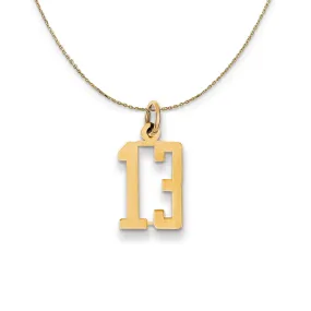 14k Yellow Gold, Alumni Small Elongated Number 13 Necklace