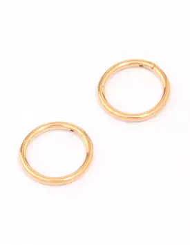 Gold Plated Titanium Fine Sleeper Earrings 6mm