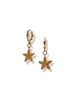 Sea Star Leverback Earrings